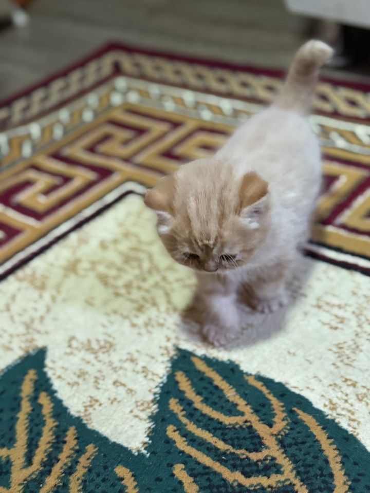 1 300 000 UZS
