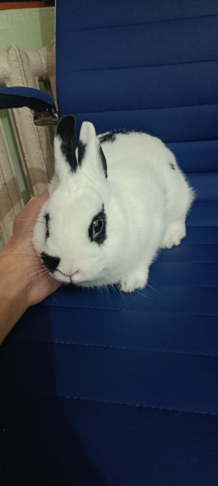 350 000 сум