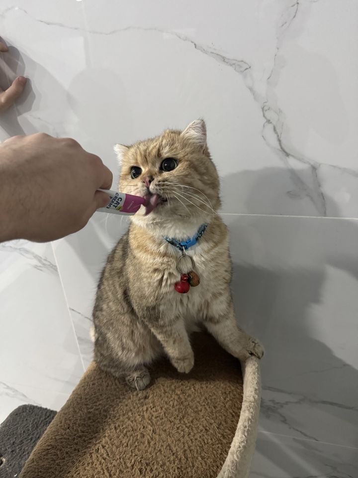 170 USD