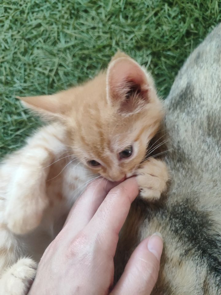 50 000 сум