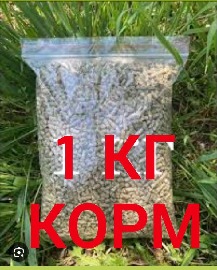 300 000 UZS