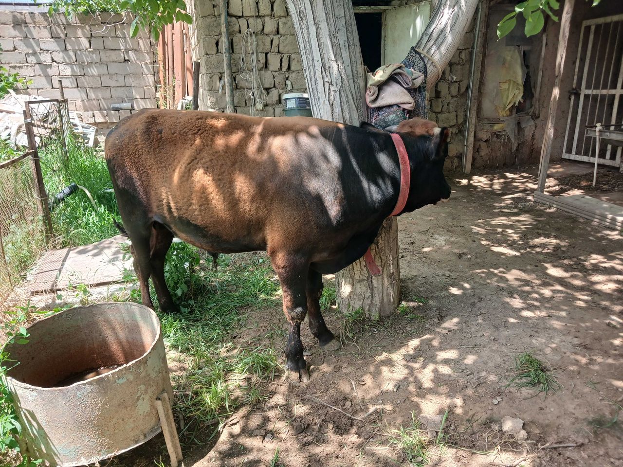 23 500 000 сум