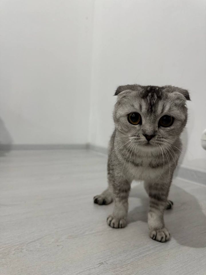 2 700 000 сум