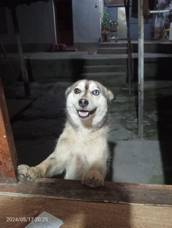 1 000 000 сум