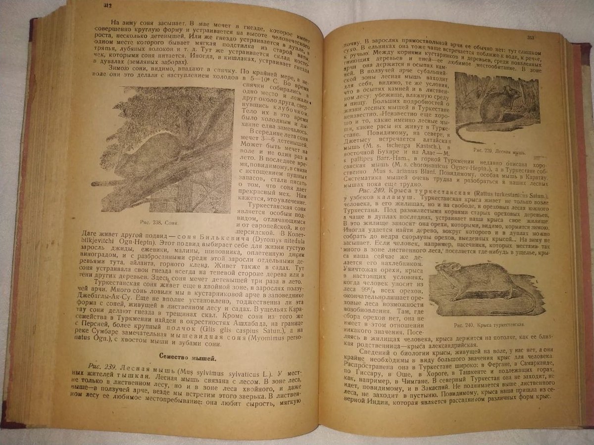 1 900 000 сум