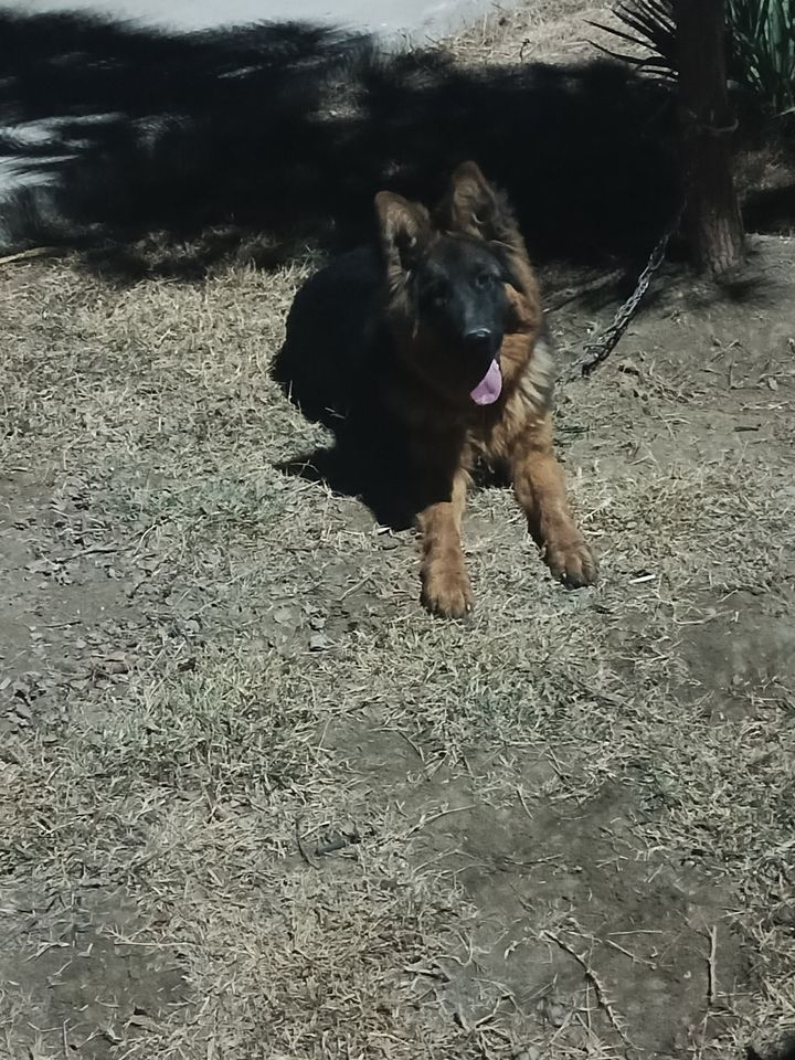 1 300 000 сум