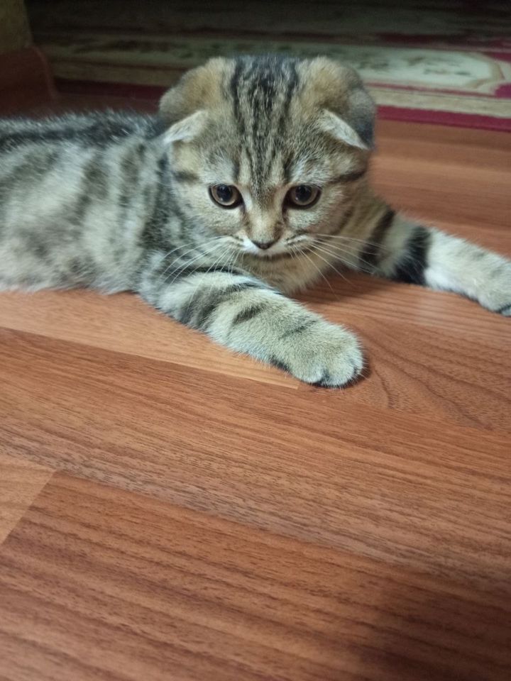900 000 сум