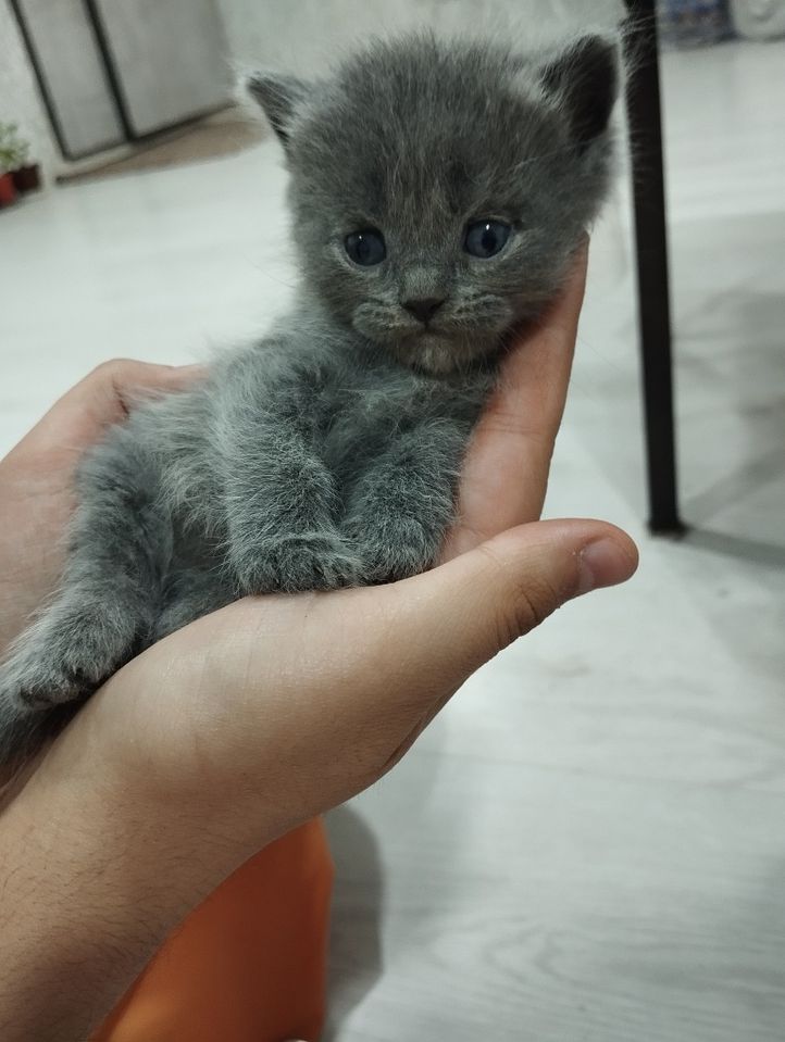 1 000 000 сум