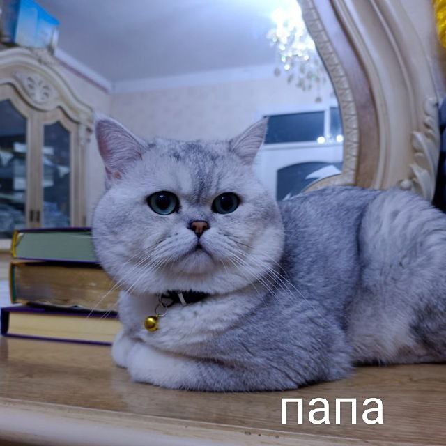 100 USD