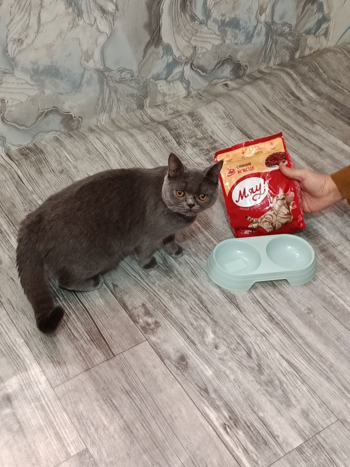 450 000 сум