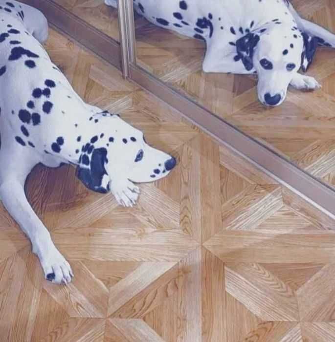 400 000 сум