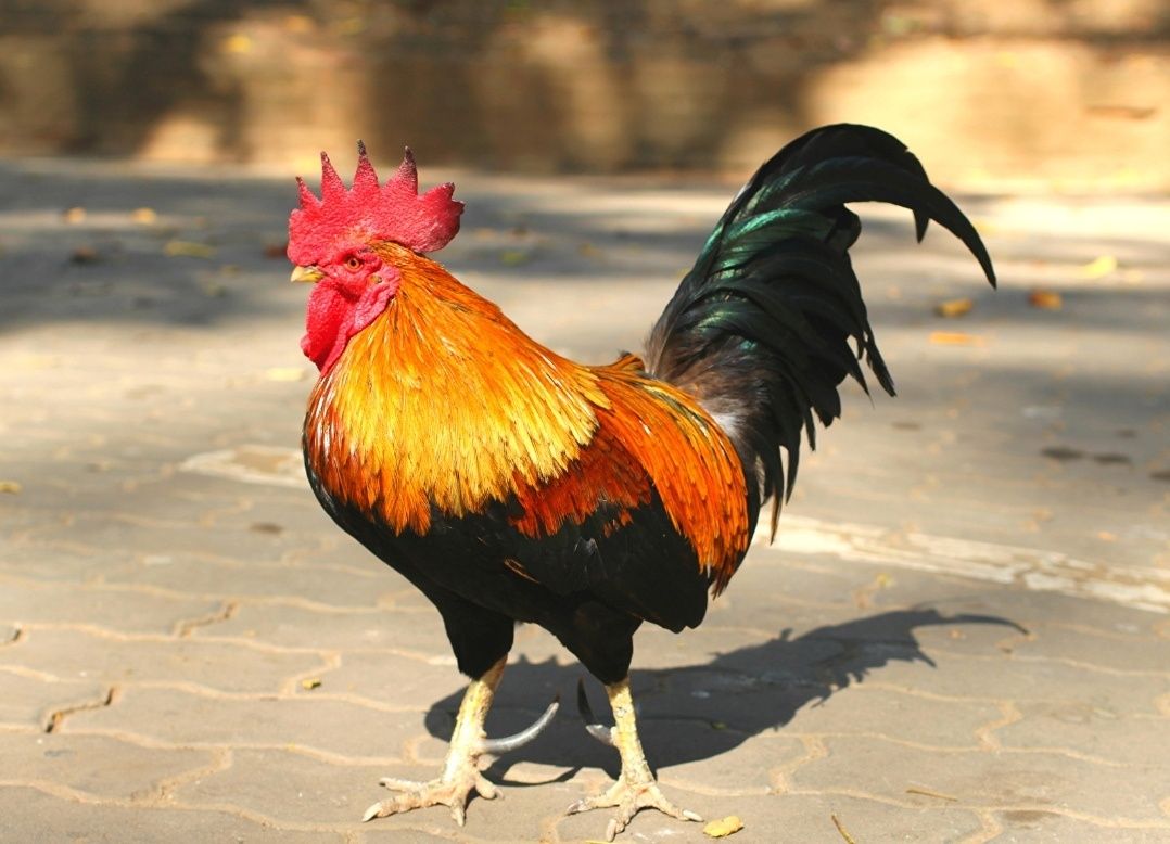 150 000 сум