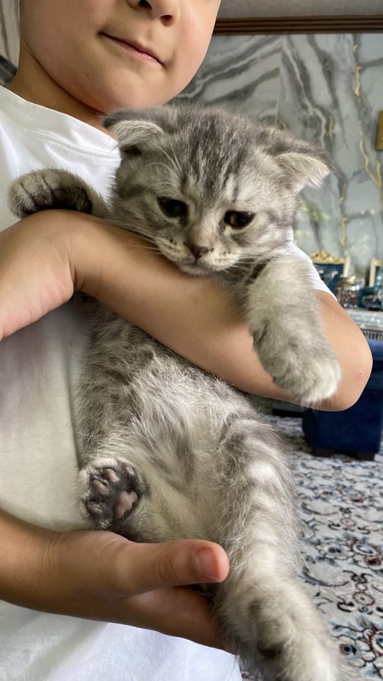 1 500 000 сум