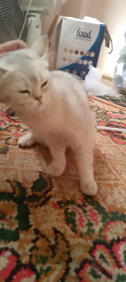 1 200 000 сум