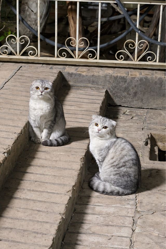 2 000 000 сум