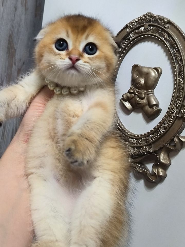 300 USD