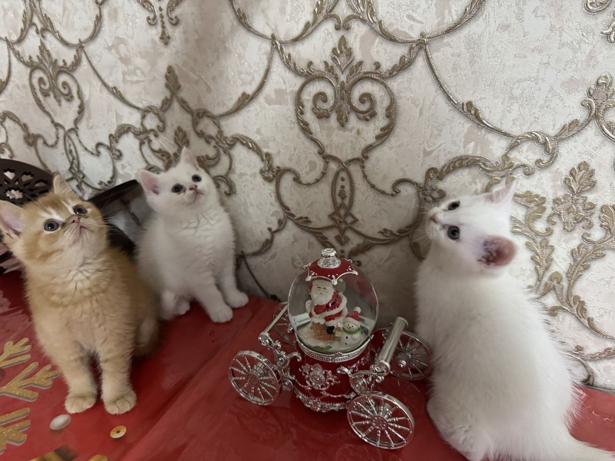800 000 сум
