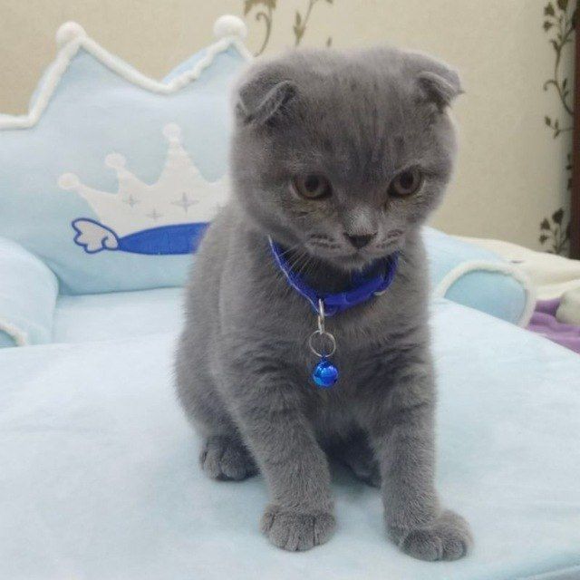 120 USD
