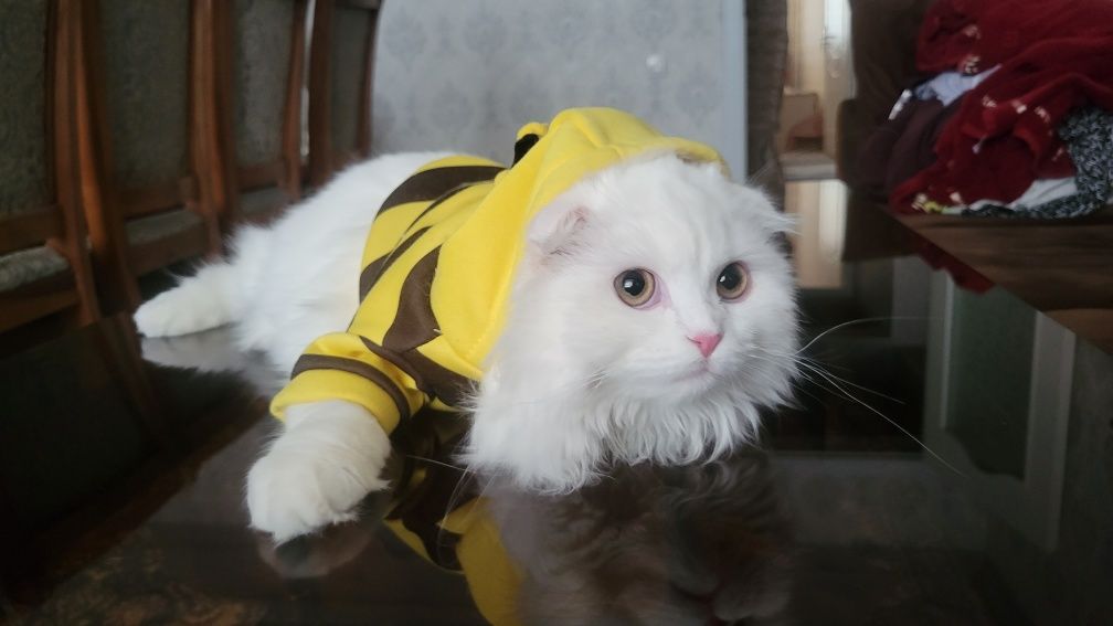 2 500 000 сум