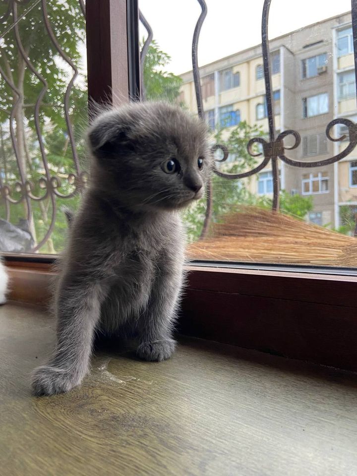 120 USD