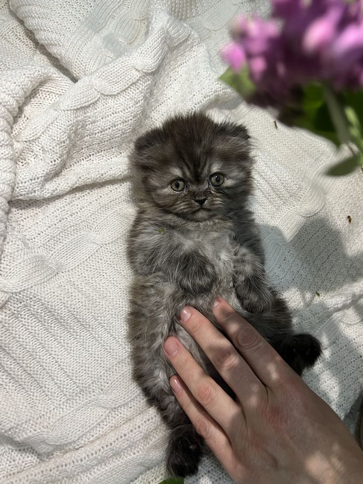 1 000 000 сум
