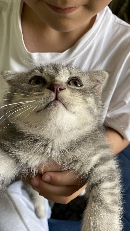 1 500 000 сум