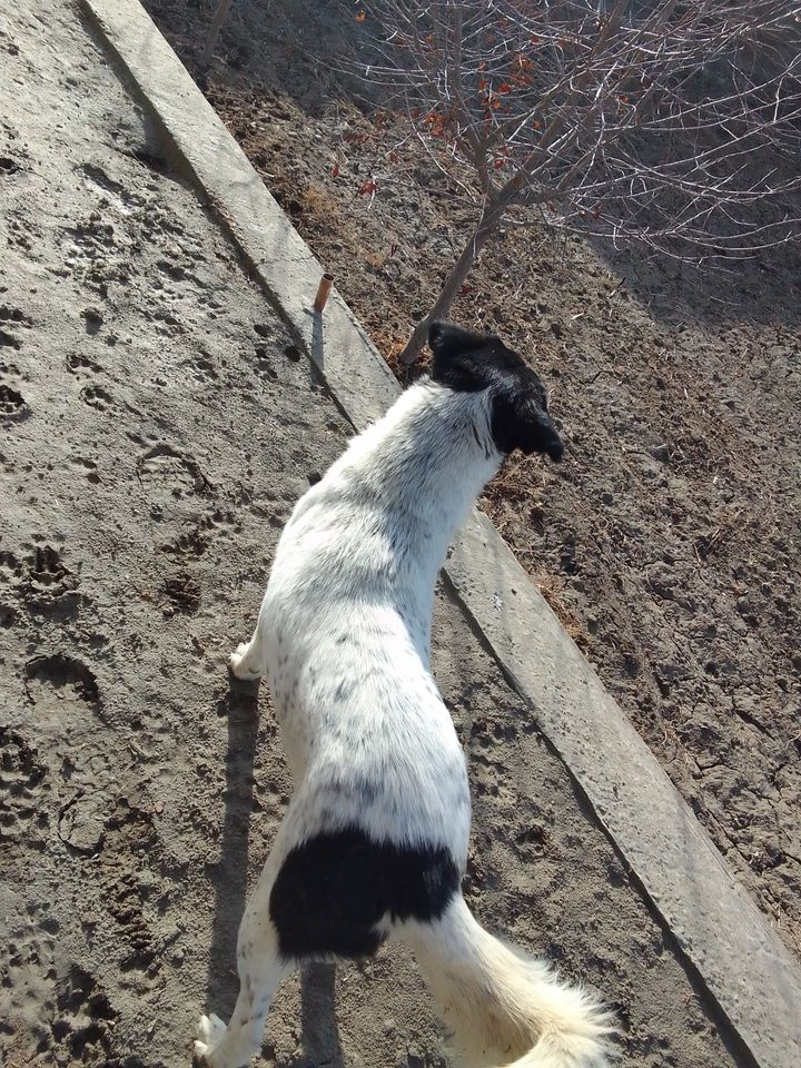 200 000 сум