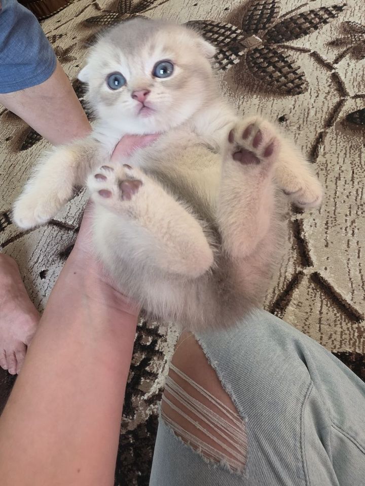 70 USD