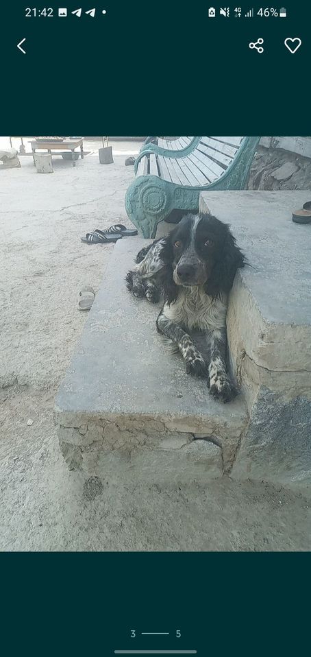 600 000 сум