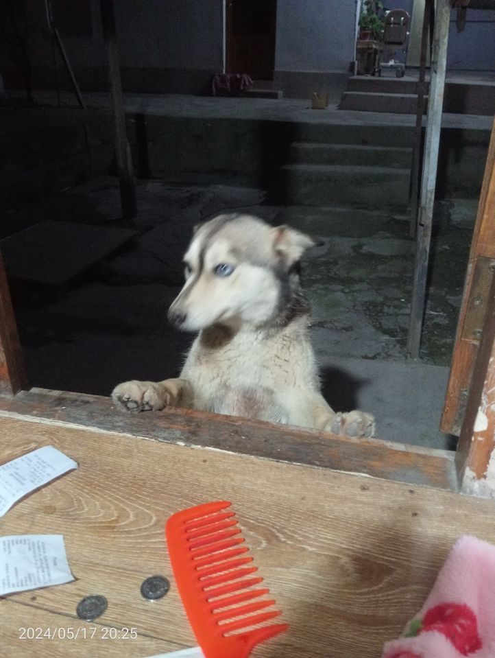 1 000 000 сум