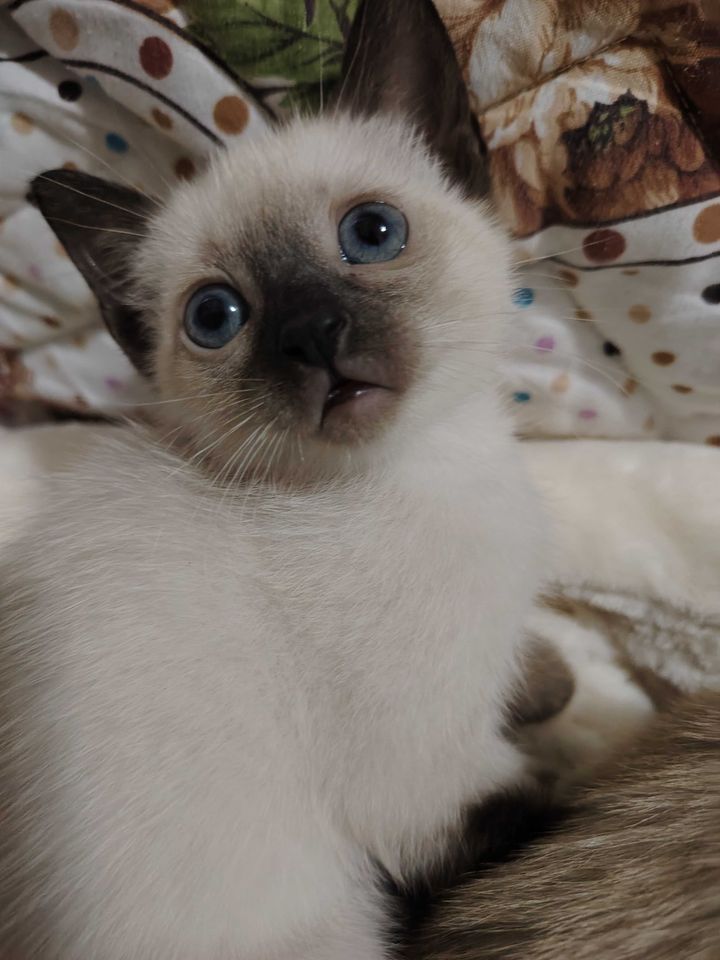 400 000 сум