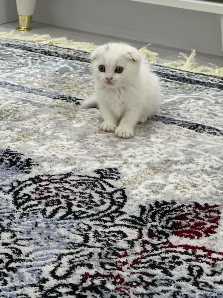120 USD