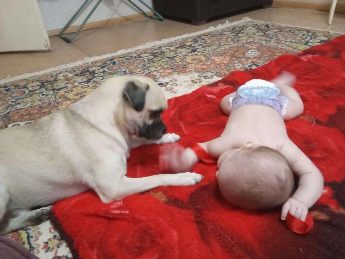 300 000 сум
