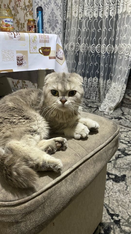 2 000 000 сум