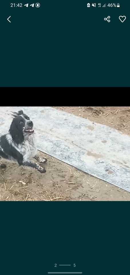 600 000 сум