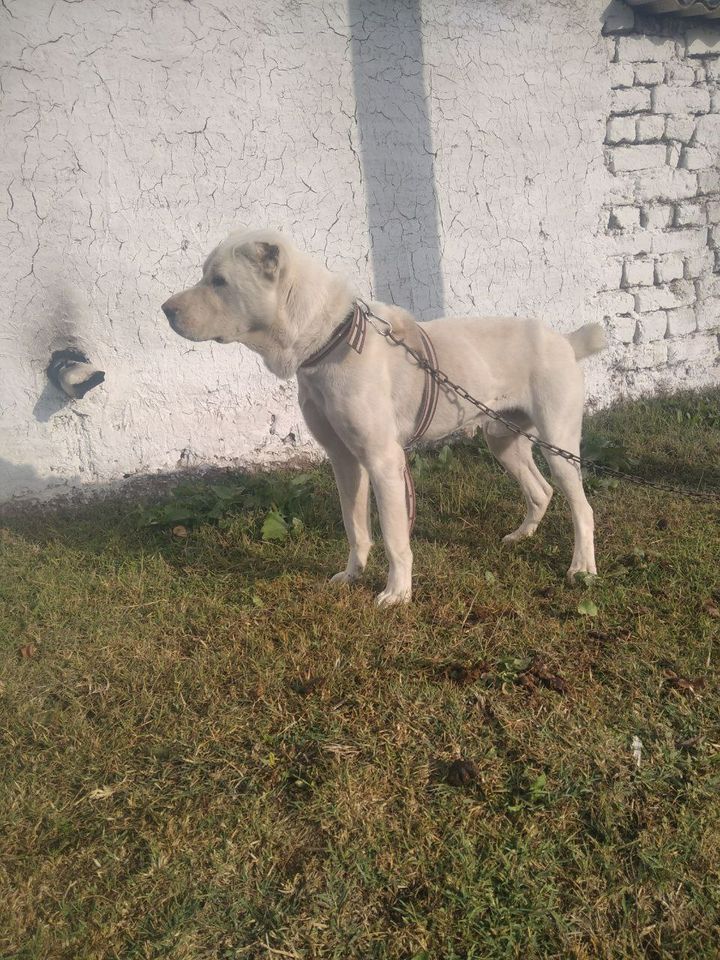 200 USD