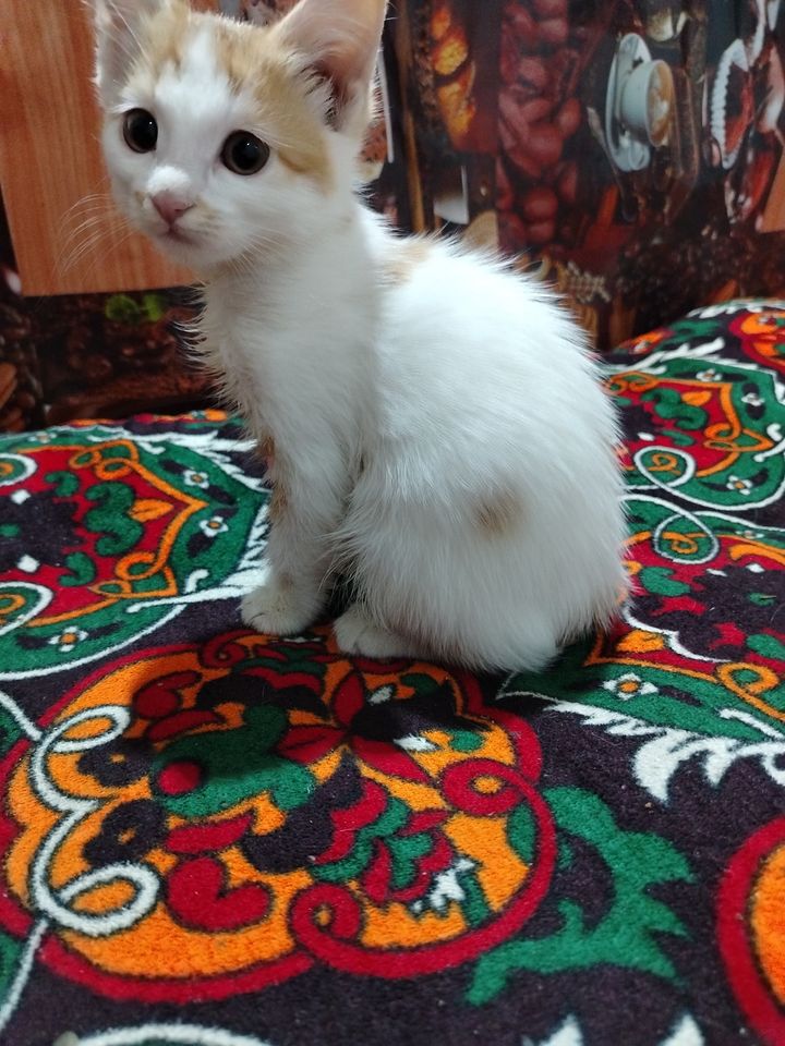 70 USD