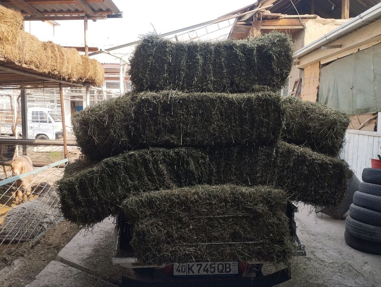 50 000 сум