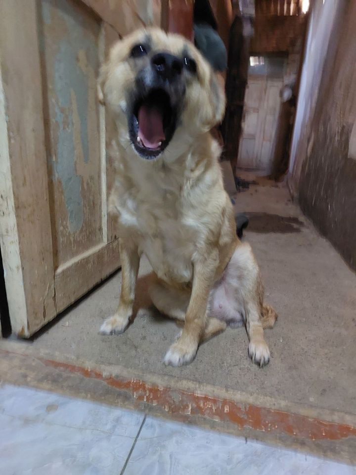 Бесплатно