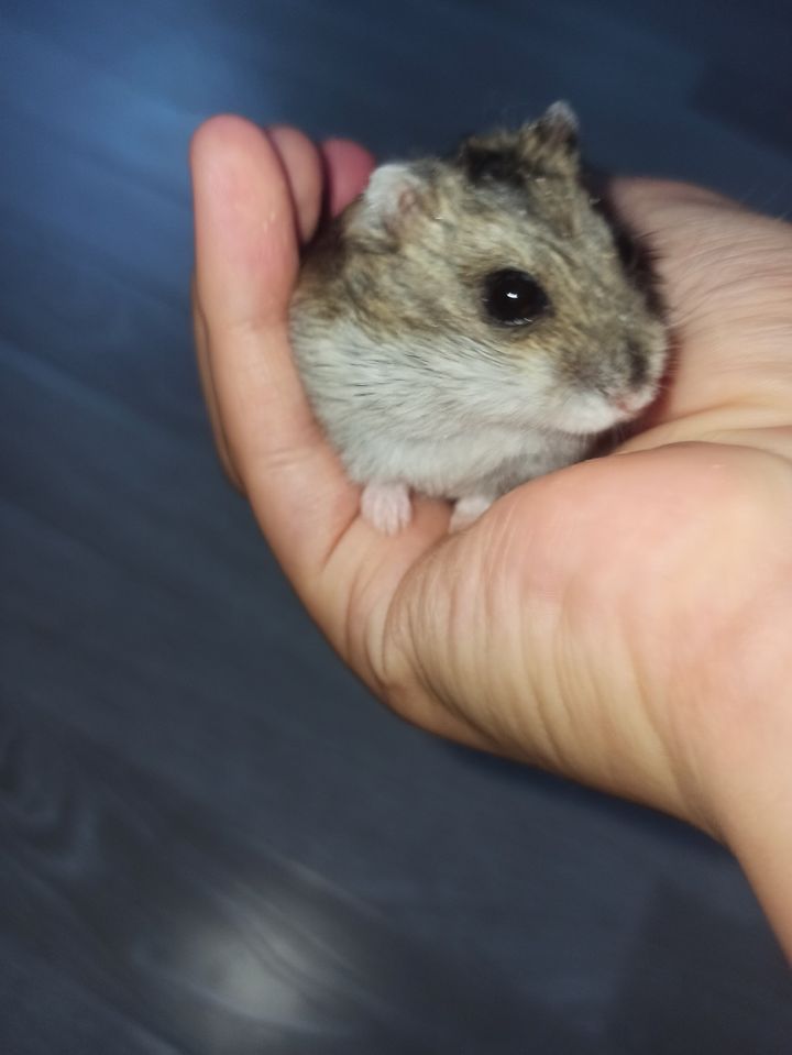200 000 сум
