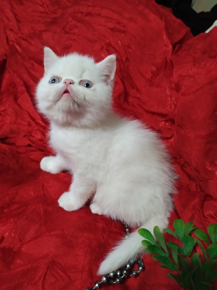 70 USD