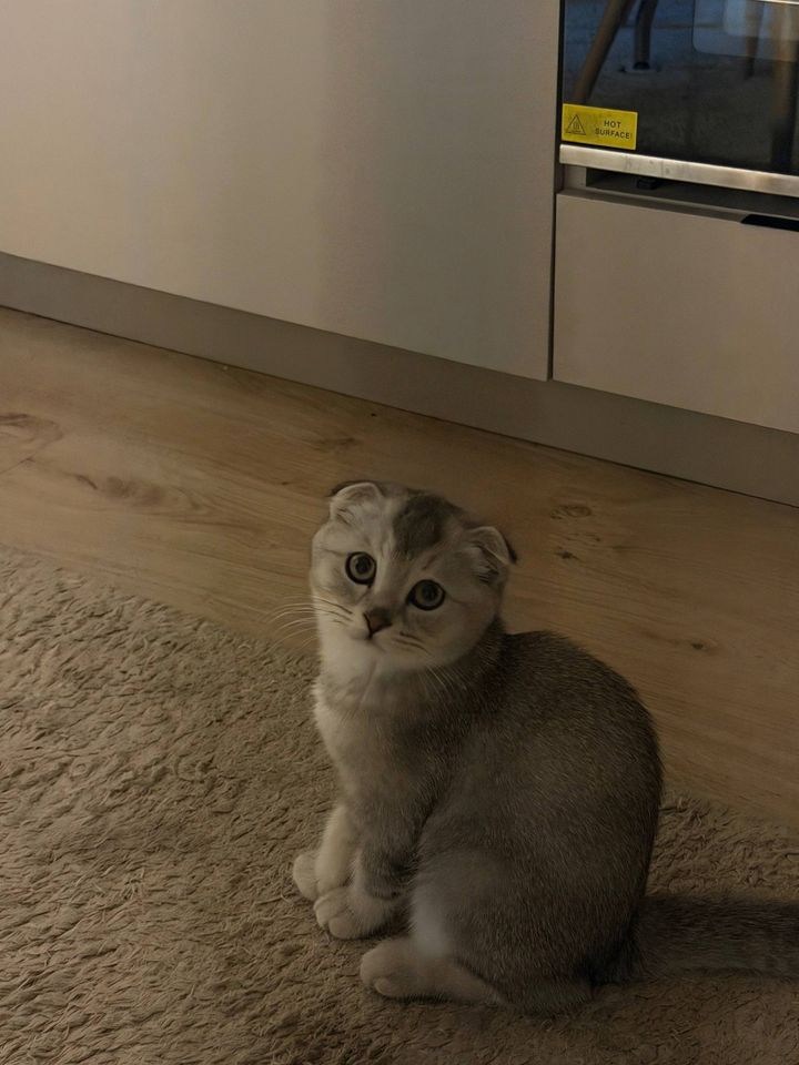 150 USD