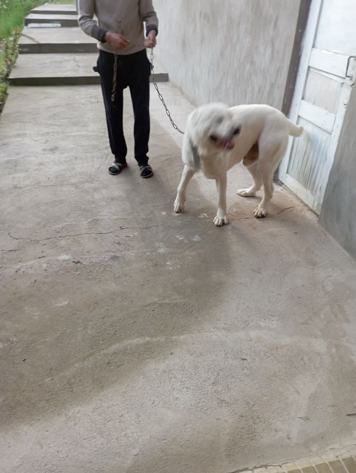 250 USD