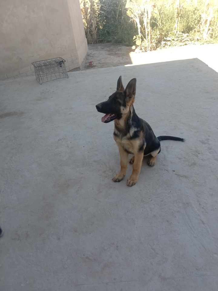 1 500 000 UZS