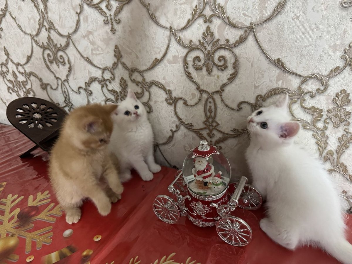 800 000 сум