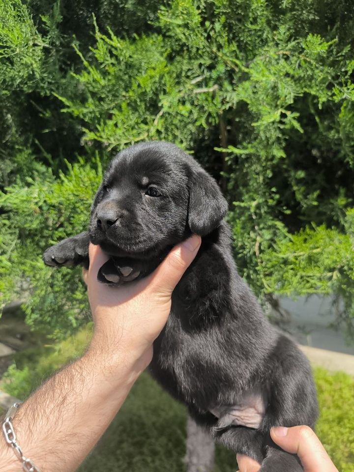 250 USD