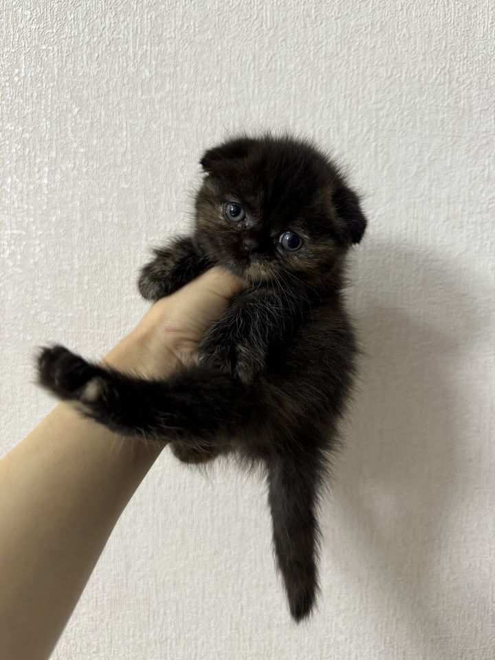 400 000 сум