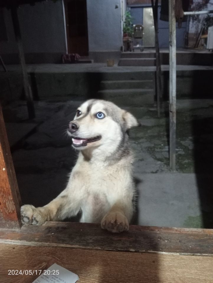 1 000 000 сум