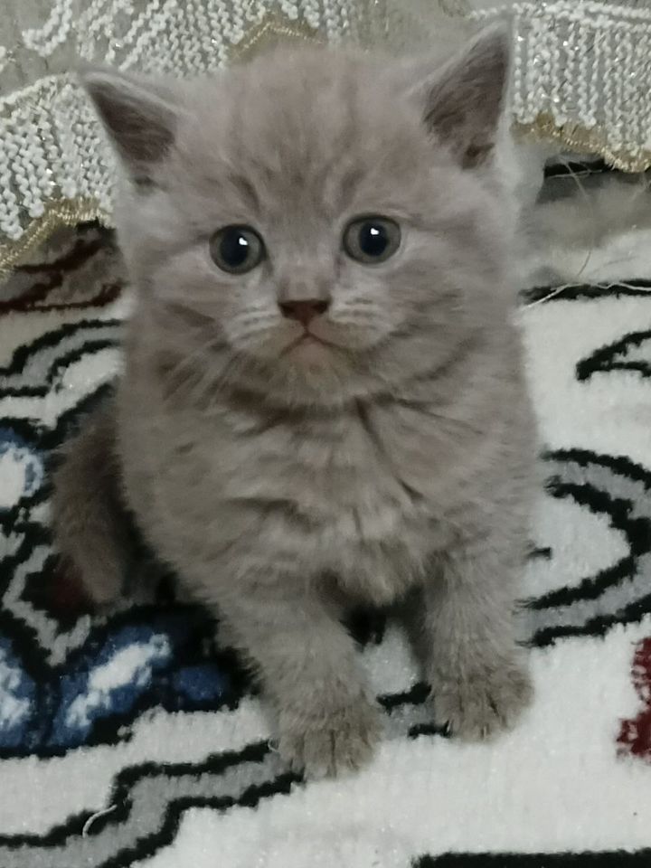 900 000 сум