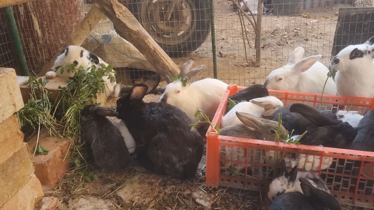 50 000 сум